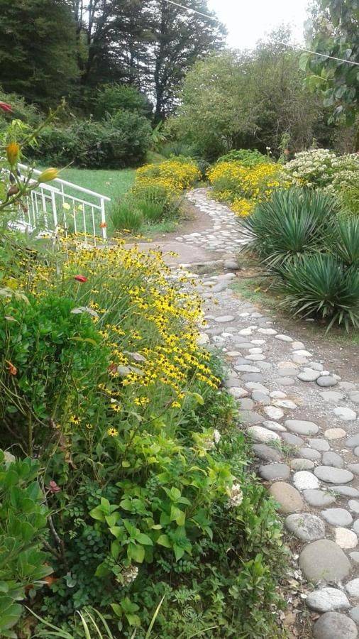 Фото Гостевого дома Место под солнцем Lidzava 6